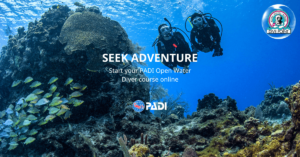 PADI Open Water Diver (e-learning)