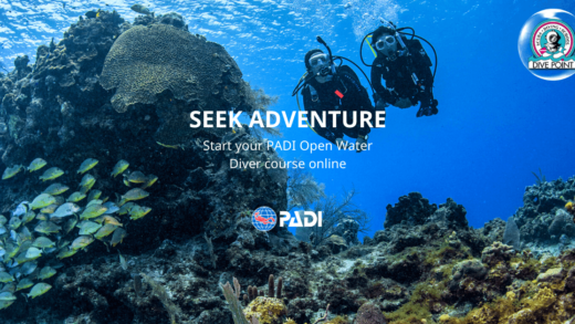 PADI Open Water Diver (e-learning)